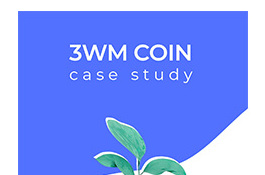3WM Coin Case